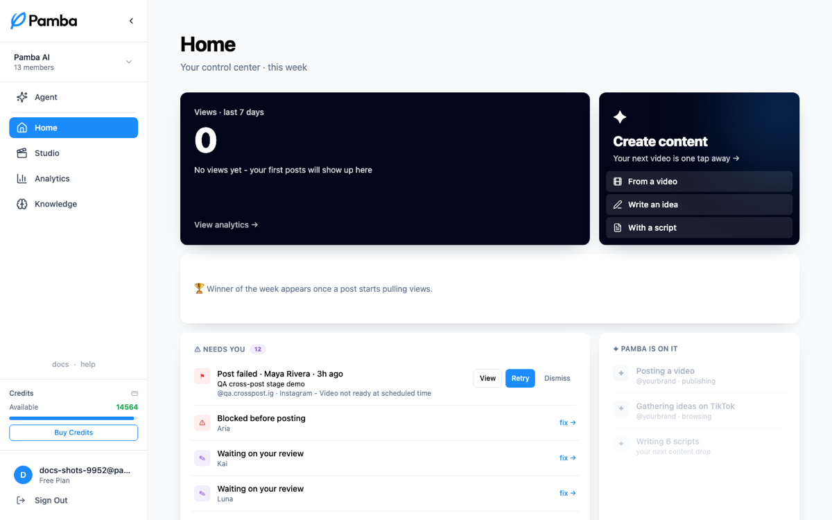 Home: views, create shortcuts, the Needs-you queue, and what Pamba is on